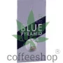 Cannabis seeds Auto BLUE PYRAMID from Pyramid Seeds